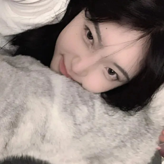 石纪元第四季